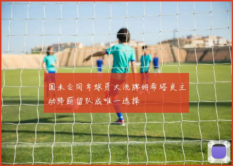 国米合同年球员大洗牌姆希塔良主动降薪留队成唯一选择