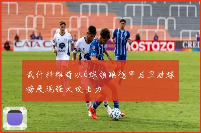 武什科维奇以6球领跑德甲后卫进球榜展现强大攻击力